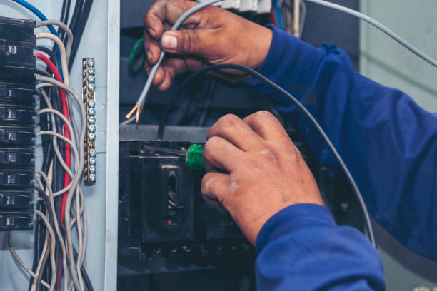 Best Electrician Near Me  in Saint Johns University, MN