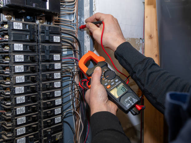 Best Electric Panel Repair  in Saint Johns University, MN